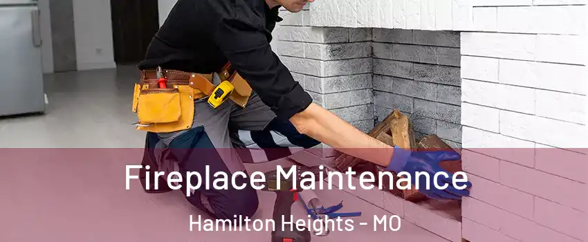 Fireplace Maintenance Hamilton Heights - MO