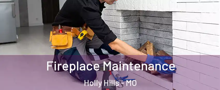 Fireplace Maintenance Holly Hills - MO