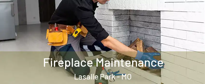 Fireplace Maintenance Lasalle Park - MO