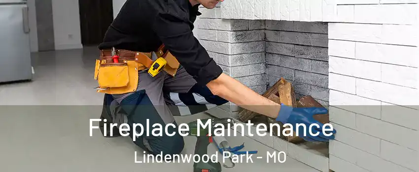 Fireplace Maintenance Lindenwood Park - MO