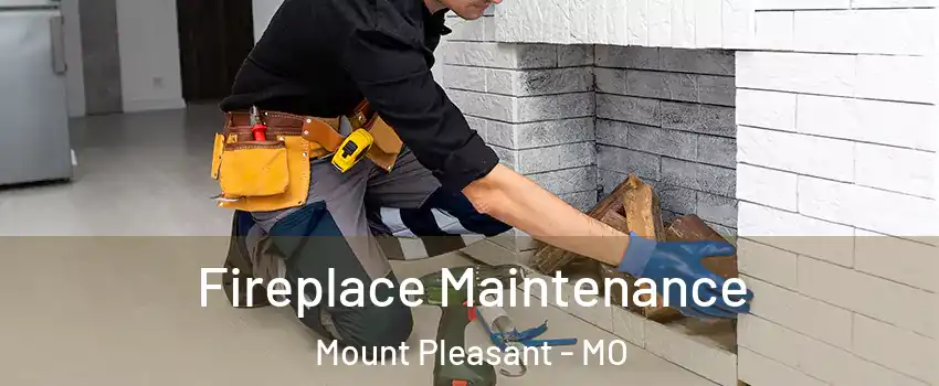 Fireplace Maintenance Mount Pleasant - MO