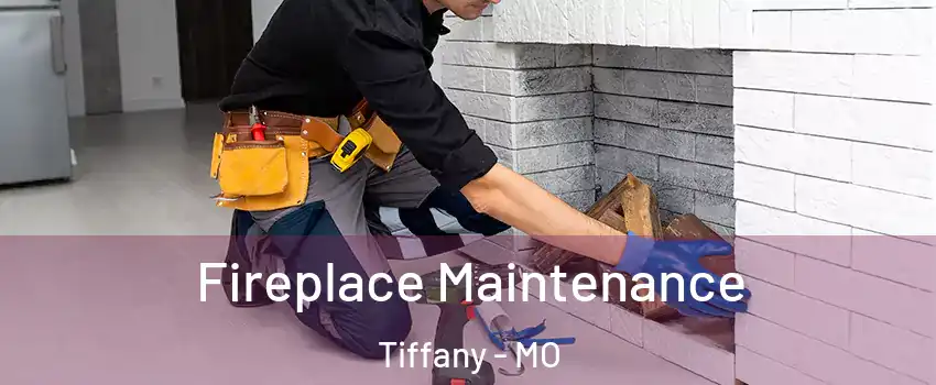Fireplace Maintenance Tiffany - MO