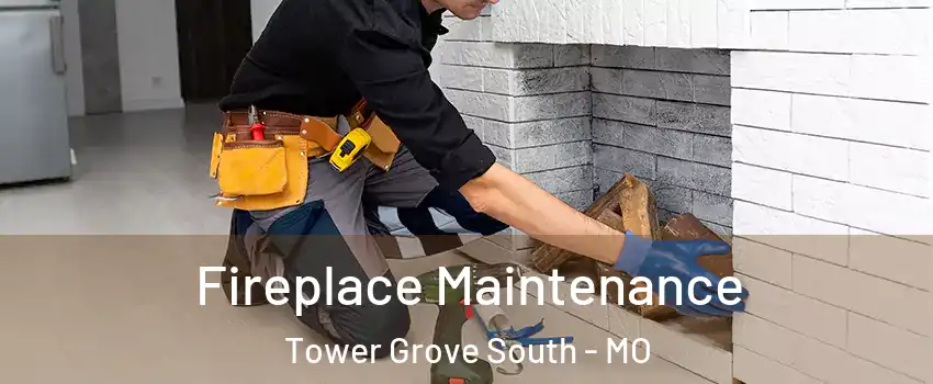 Fireplace Maintenance Tower Grove South - MO