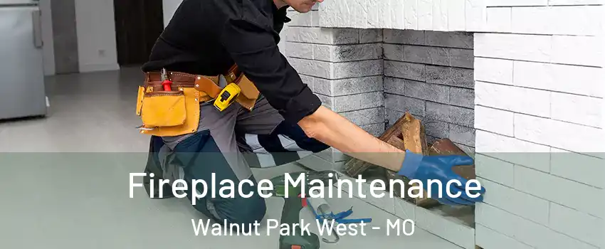 Fireplace Maintenance Walnut Park West - MO