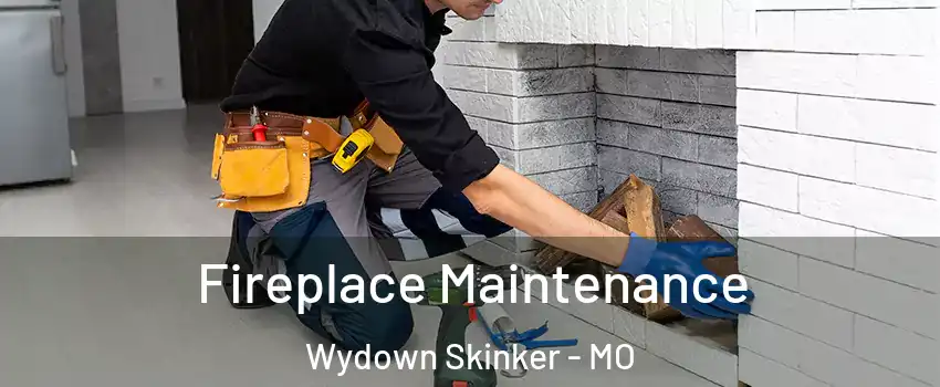 Fireplace Maintenance Wydown Skinker - MO