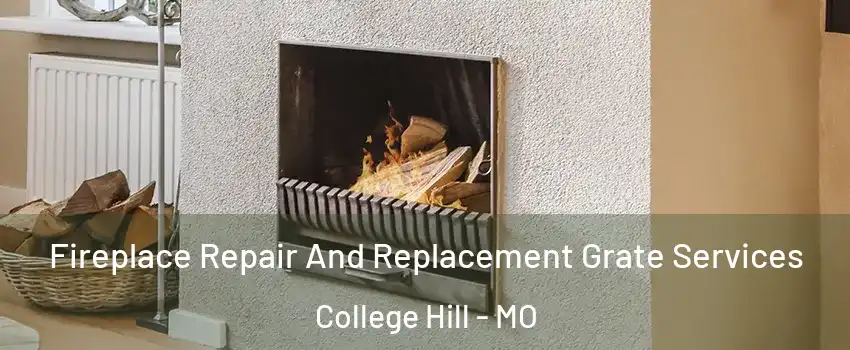 Fireplace Repair And Replacement Grate Services College Hill - MO