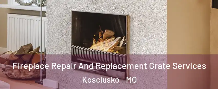 Fireplace Repair And Replacement Grate Services Kosciusko - MO