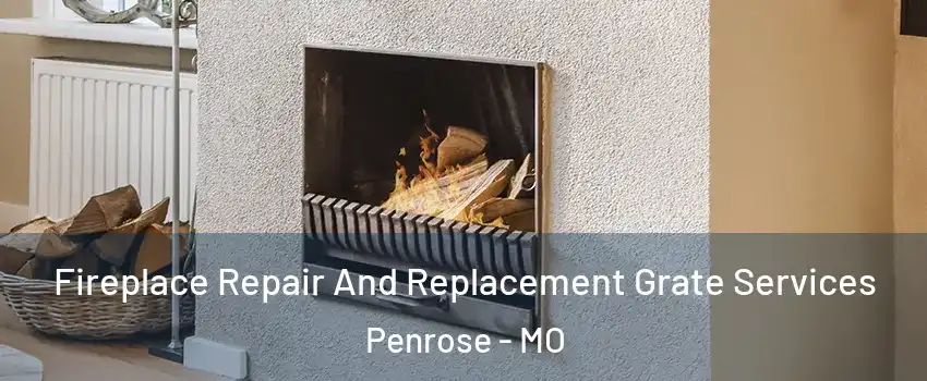 Fireplace Repair And Replacement Grate Services Penrose - MO