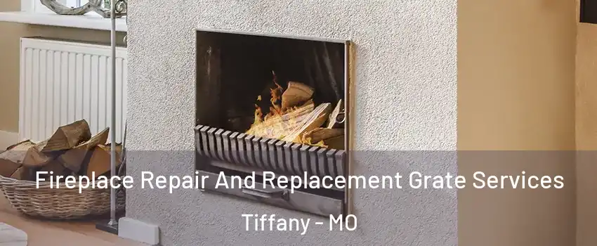 Fireplace Repair And Replacement Grate Services Tiffany - MO