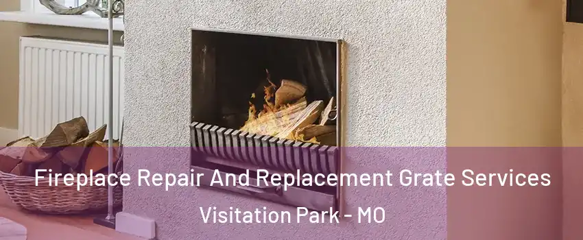 Fireplace Repair And Replacement Grate Services Visitation Park - MO