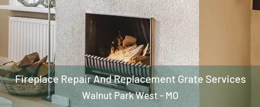 Fireplace Repair And Replacement Grate Services Walnut Park West - MO