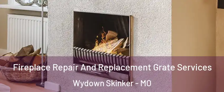 Fireplace Repair And Replacement Grate Services Wydown Skinker - MO