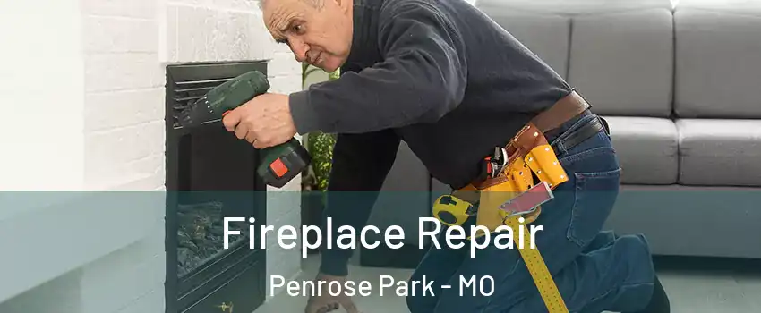Fireplace Repair Penrose Park - MO