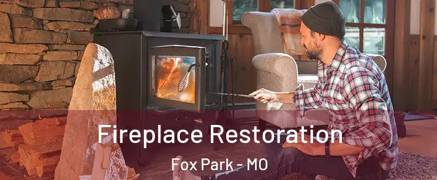 Fireplace Restoration Fox Park - MO