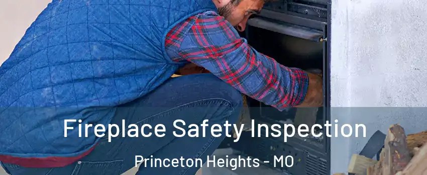 Fireplace Safety Inspection Princeton Heights - MO