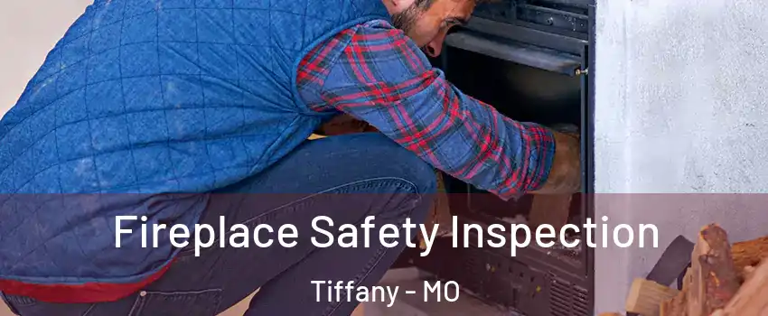 Fireplace Safety Inspection Tiffany - MO