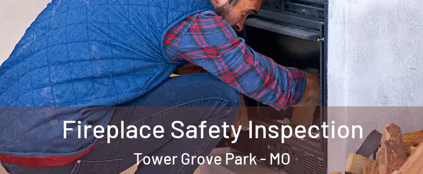 Fireplace Safety Inspection Tower Grove Park - MO