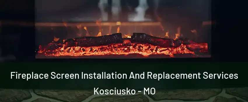 Fireplace Screen Installation And Replacement Services Kosciusko - MO