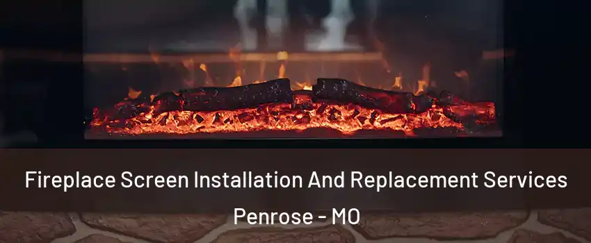 Fireplace Screen Installation And Replacement Services Penrose - MO