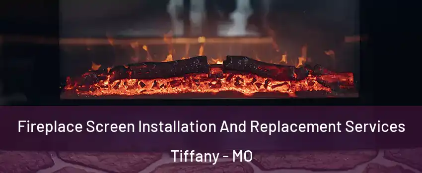 Fireplace Screen Installation And Replacement Services Tiffany - MO