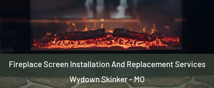 Fireplace Screen Installation And Replacement Services Wydown Skinker - MO