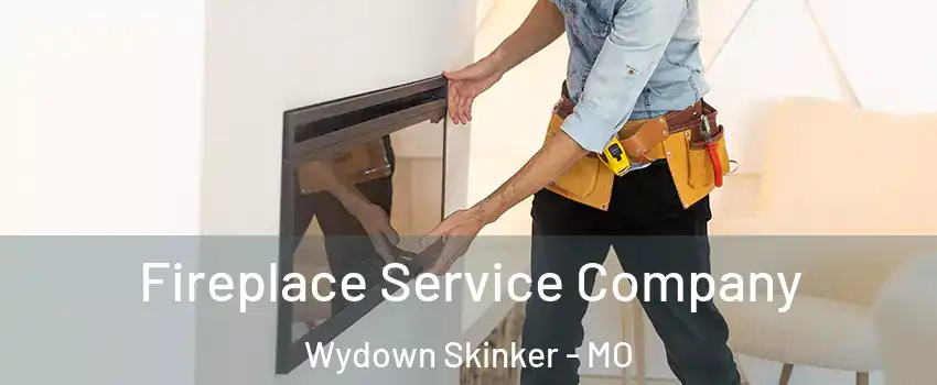 Fireplace Service Company Wydown Skinker - MO