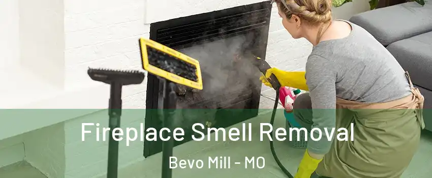 Fireplace Smell Removal Bevo Mill - MO