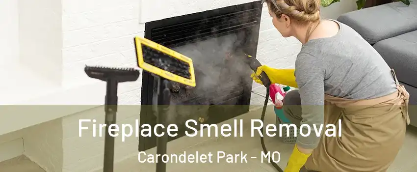 Fireplace Smell Removal Carondelet Park - MO