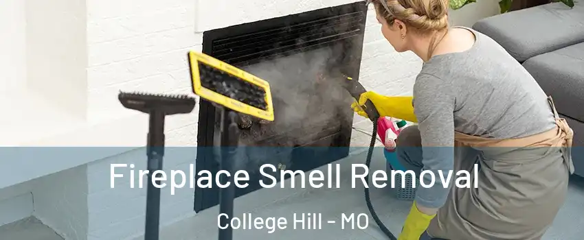 Fireplace Smell Removal College Hill - MO
