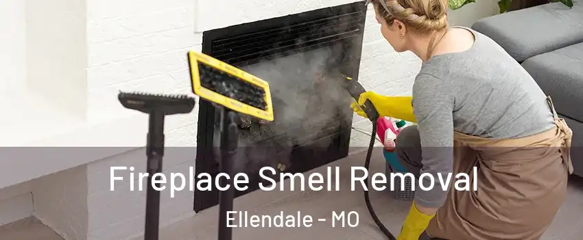 Fireplace Smell Removal Ellendale - MO