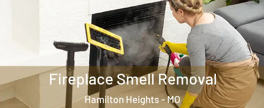 Fireplace Smell Removal Hamilton Heights - MO
