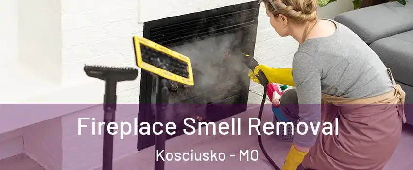 Fireplace Smell Removal Kosciusko - MO
