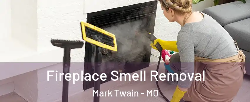 Fireplace Smell Removal Mark Twain - MO