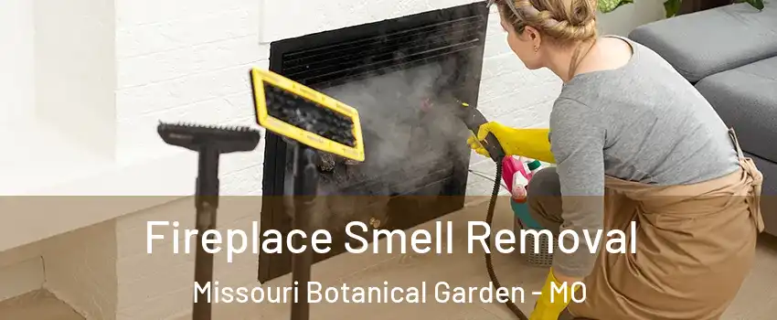 Fireplace Smell Removal Missouri Botanical Garden - MO