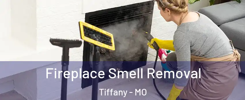 Fireplace Smell Removal Tiffany - MO