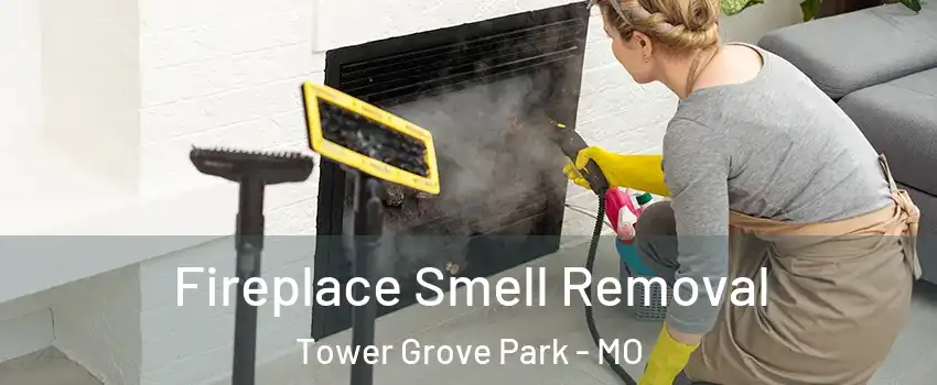 Fireplace Smell Removal Tower Grove Park - MO
