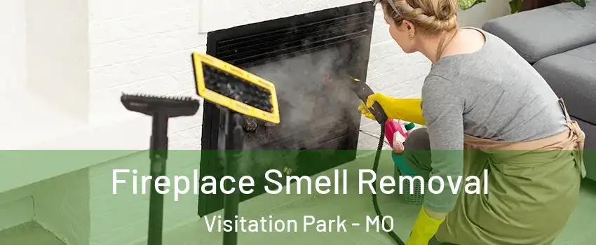 Fireplace Smell Removal Visitation Park - MO