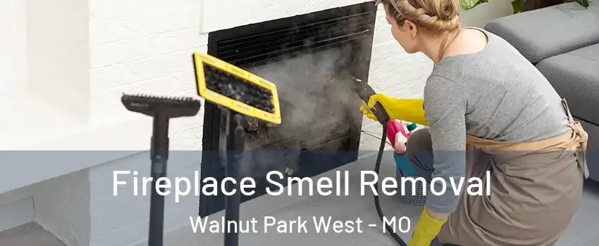 Fireplace Smell Removal Walnut Park West - MO