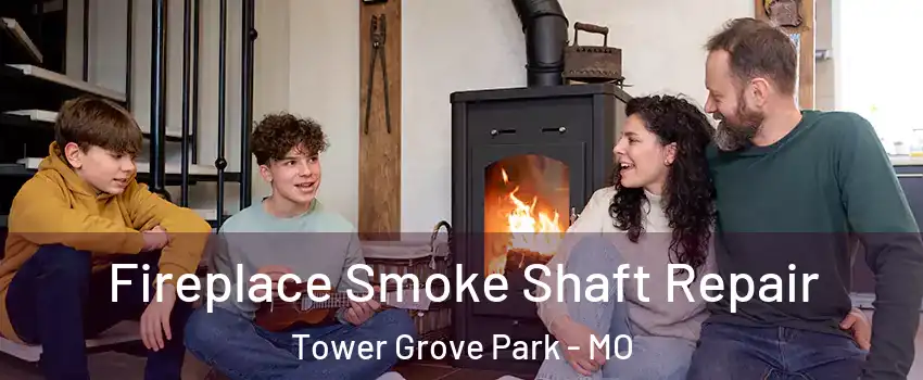 Fireplace Smoke Shaft Repair Tower Grove Park - MO