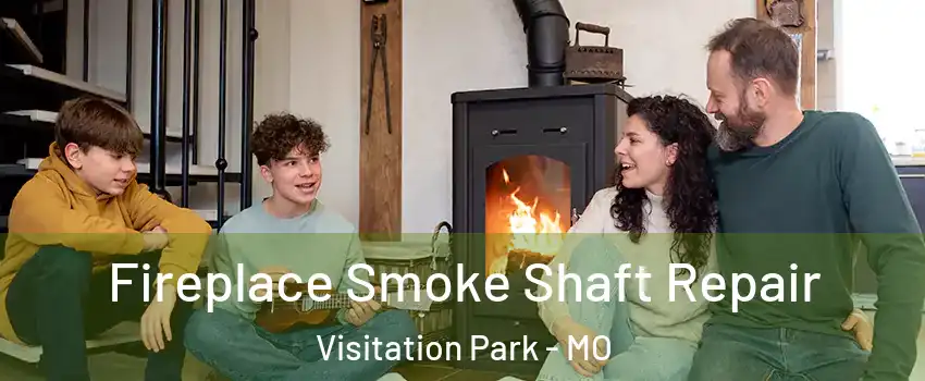 Fireplace Smoke Shaft Repair Visitation Park - MO