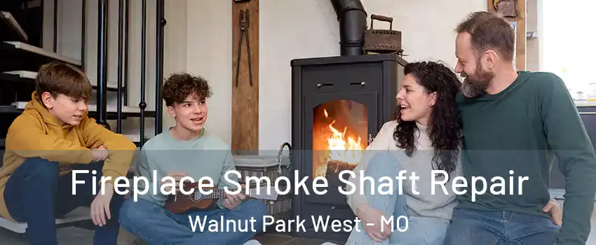 Fireplace Smoke Shaft Repair Walnut Park West - MO