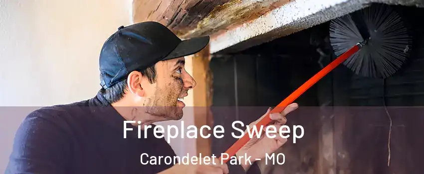 Fireplace Sweep Carondelet Park - MO