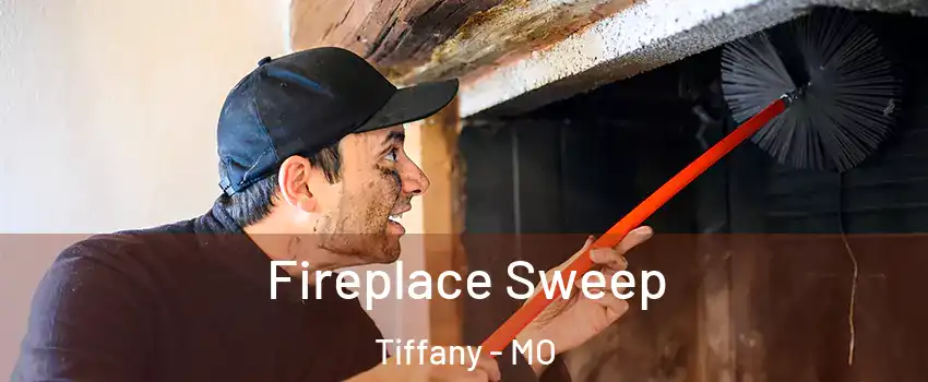 Fireplace Sweep Tiffany - MO