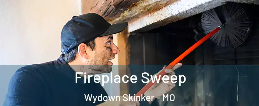 Fireplace Sweep Wydown Skinker - MO
