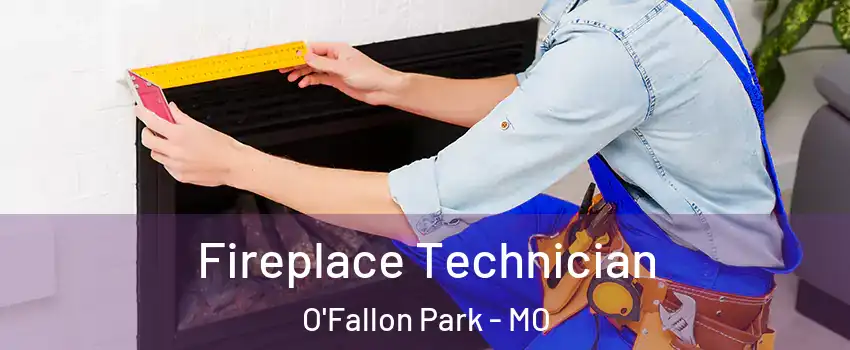 Fireplace Technician O'Fallon Park - MO
