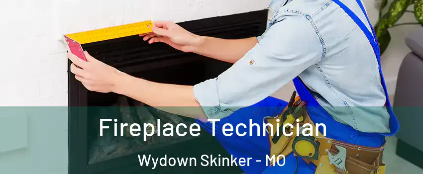 Fireplace Technician Wydown Skinker - MO