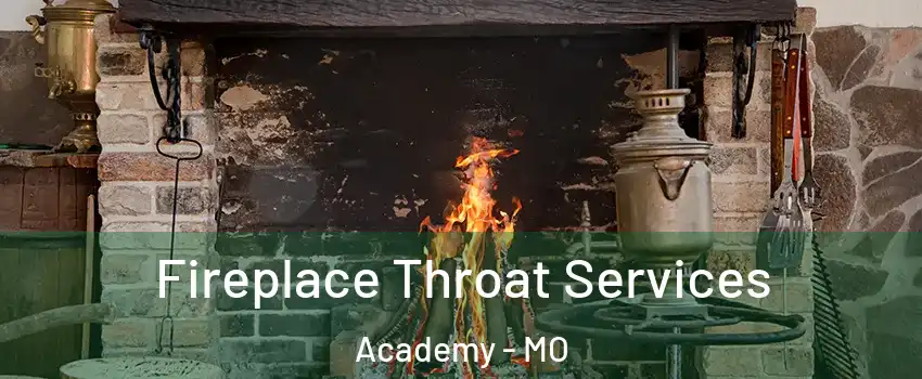 Fireplace Throat Services Academy - MO