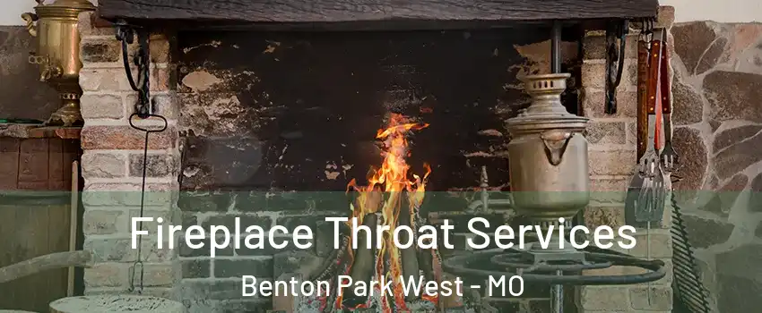 Fireplace Throat Services Benton Park West - MO