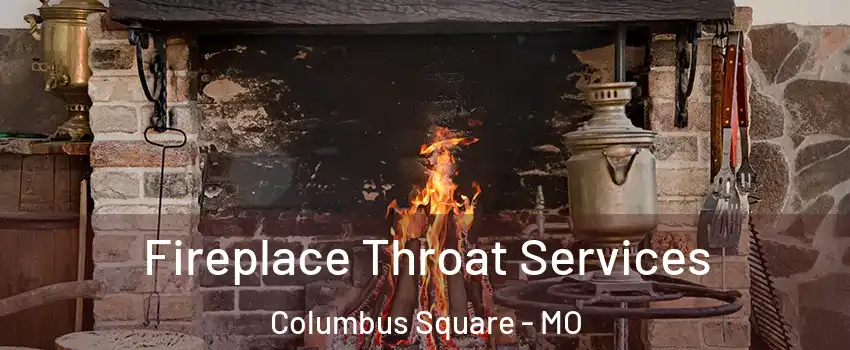 Fireplace Throat Services Columbus Square - MO