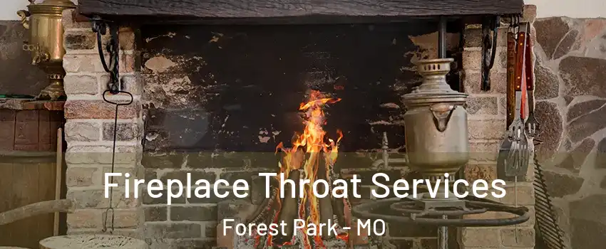 Fireplace Throat Services Forest Park - MO